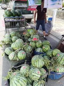 巴东热门吃瓜事件,揭秘当地热门话题背后的真相
