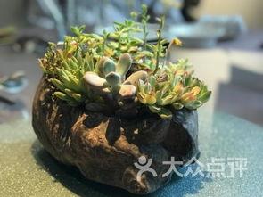 多彩贵州城吃瓜,夏日吃瓜盛宴，尽享清凉一夏