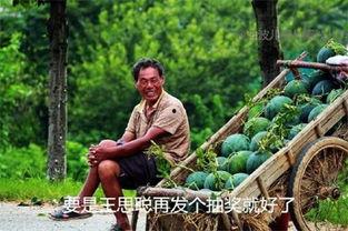 吃瓜游戏故事大全,揭秘娱乐圈背后的秘密与狂欢