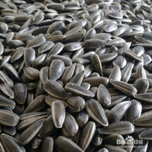 准备瓜子吃瓜,品味生活小确幸