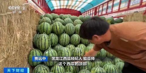 吃瓜哦风铃,揭秘娱乐圈背后的风铃效应