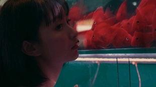 吃瓜少女被黑,真相与反思